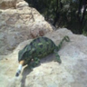 Meet your Posher, Michel